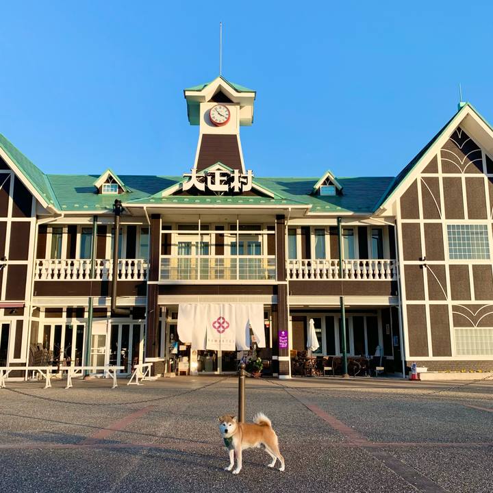 Fb79138f 83c0 44dd a780 d6463461d693 1670489159645