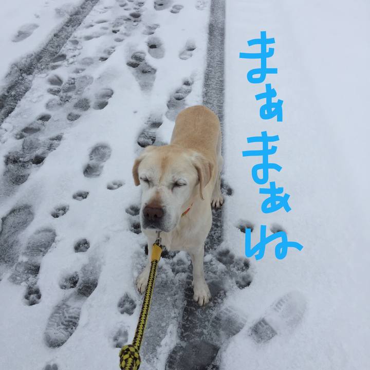 Fb791bbe 6b48 4050 b8fb 229276849f38 1515292847224