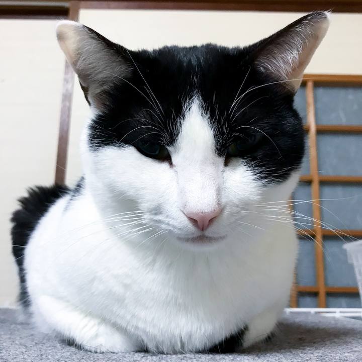 Fb794567 6fb7 41ee 9923 6ff9d7d65cc5 1513642820841