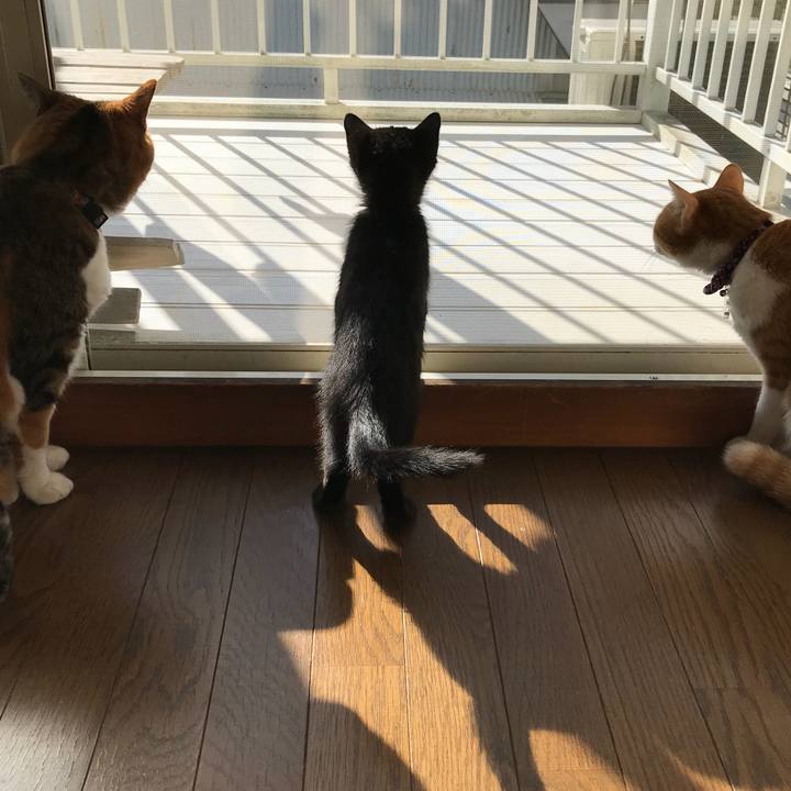 Fb796455 29bb 4504 90c7 b6a7a68ed96a 1513044351023