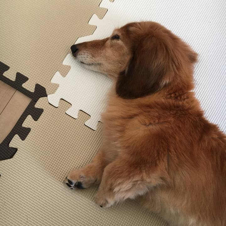 Fb797198 3dd6 4f2d 950a e10800c246a7 1633697135829