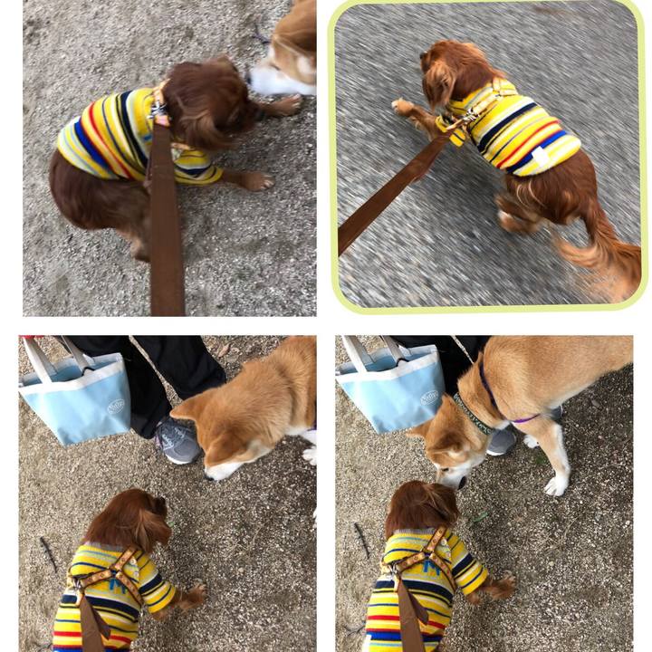 Fb79b428 05a2 4a05 ba67 88ade8f8c680 1550931071626