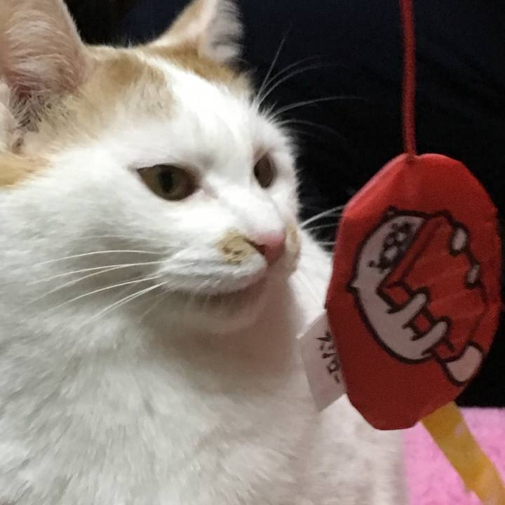 Fb79b4d4 65cc 4fe1 98f6 9f518bd6cd60 1514459958818