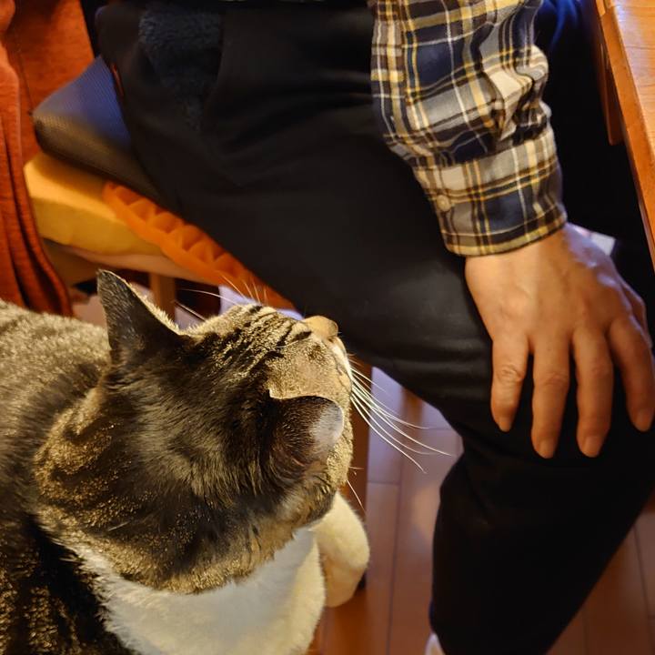 Fb79ba21 3910 497d adb5 ddaac8de816e 1613643091705