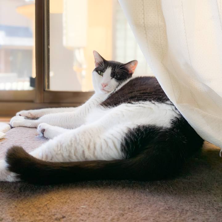 Fb79c658 b6b4 47fb b196 9cbc5a84c135 1570410995294