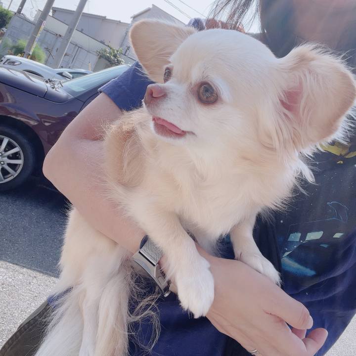 Fb79d65c 22e0 4d0a 9945 deb06c6984c6 1755596345680