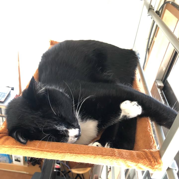 Fb79f6c5 084b 46fd b9d3 59d56330ca57 1547438468713