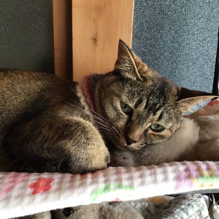 Fb7a00ec c4c1 4ee8 8df5 629ffece648c 1626055589415