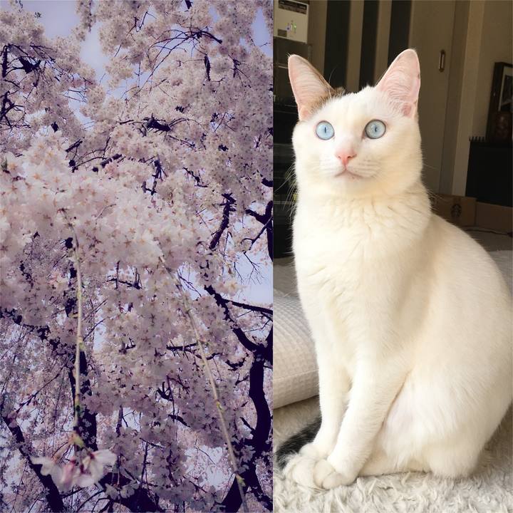 Fb7a056f 7a88 43b5 8e48 6e2866e3cd37 1522025131326