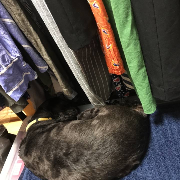 Fb7a6ef8 be53 4ced 8419 f0eca7041561 1560432255418