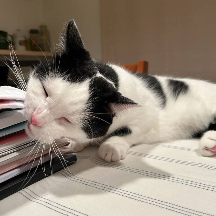 Fb7a986b 11e9 47bd a98f fe0acefa11a9 1758496395990