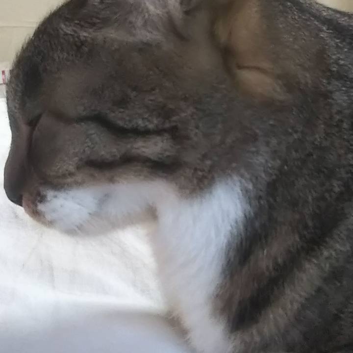 Fb7aab1a aace 413d 9c14 cc2537484fbc 1627656312593