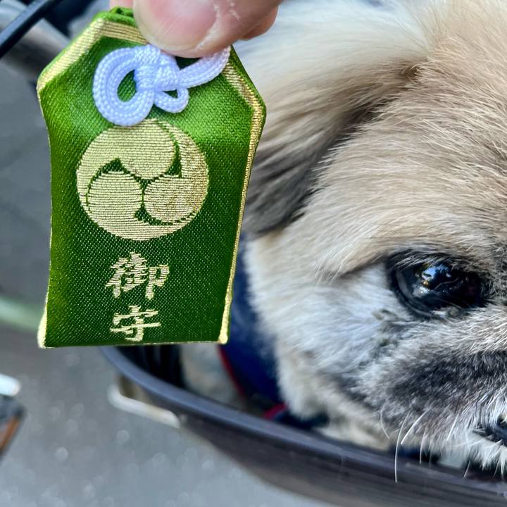 Fb7ab70d d04b 4f11 acfc ebef63e83c44 1768429333786