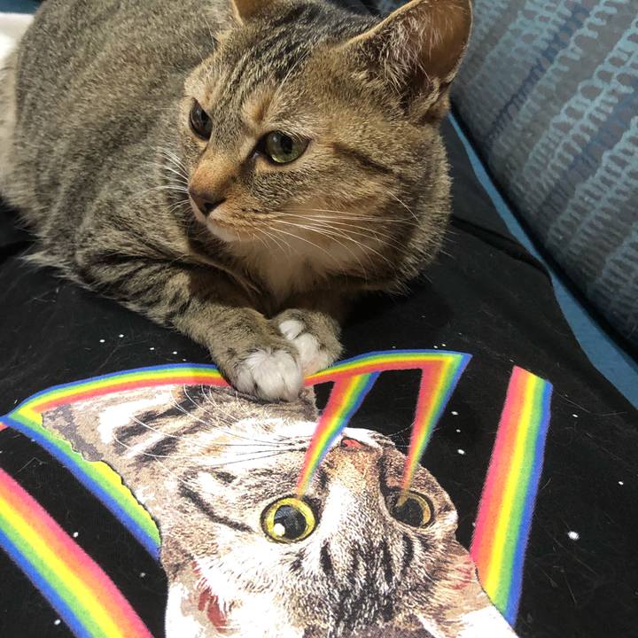 Fb7b164d 5e56 44d6 9b79 a506dfad00ae 1650779717032