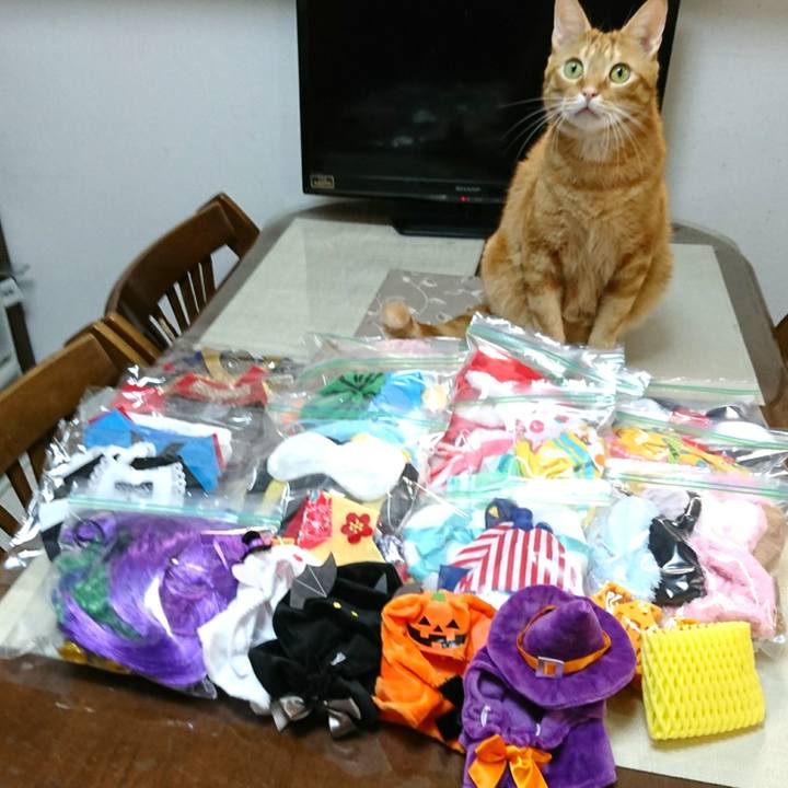 Fb7b55f6 736a 41c1 8881 3a9c715ee71b 1537787075469