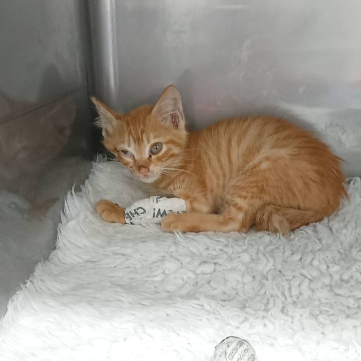 Fb7b6280 0f8a 44f1 993a 89275f146616 1627706144496