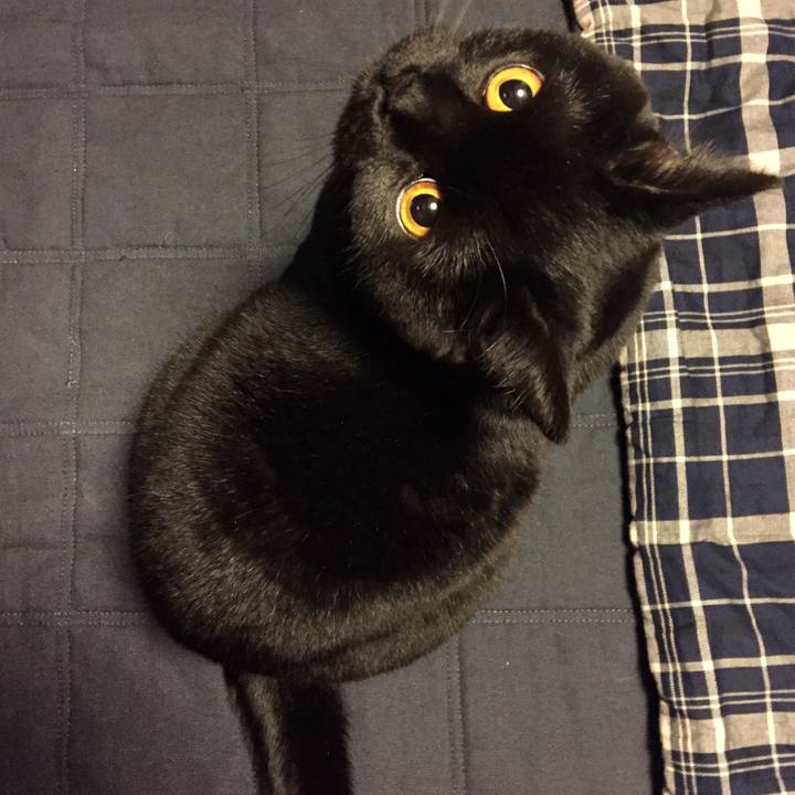 Fb7bc565 3a2d 45a6 8edd a7d406164ffe 1515586398990