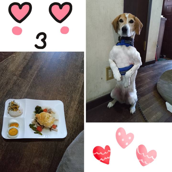 Fb7bc6c7 59d9 4b40 81cf 160d4237d8e6 1742719112125