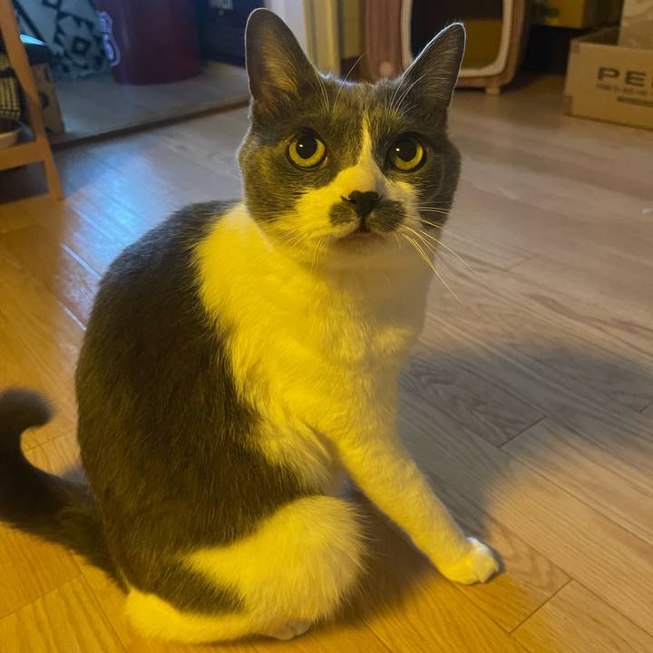 Fb7bc70d 7e5c 47c6 a14f 29315384765e 1747955434471