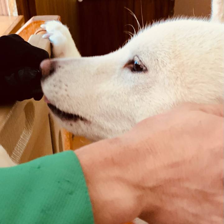 Fb7bcfc2 ecf6 48d9 b1b1 c74dff5099f9 1619867697527