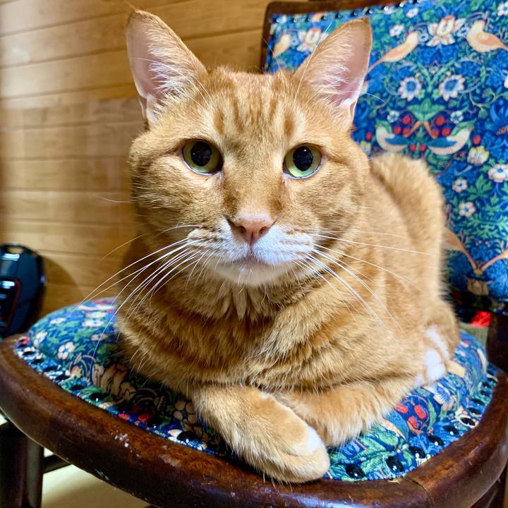 Fb7bd2fa 0ea8 4f2e 9307 bbec87ab8a92 1600429960473