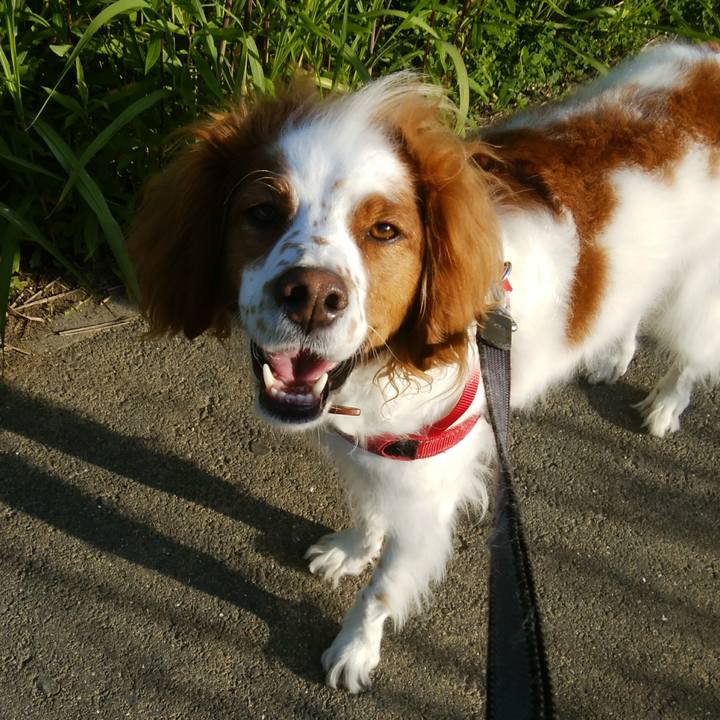 Fb7bf3a7 430f 4010 a477 b2fd40b37ea9 1526040217227