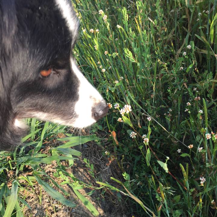 Fb7c0774 9745 4a6f af5e 258873695361 1557533920955