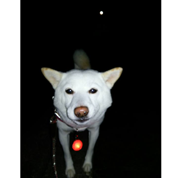 Fb7c08a5 315d 4731 aefc 3b035f1135a4 1545470160490