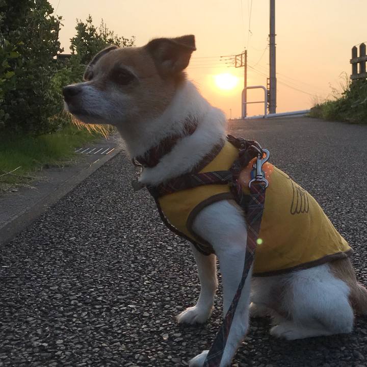 Fb7c1d50 de73 4e89 a128 fe6e2c48888d 1564521252554