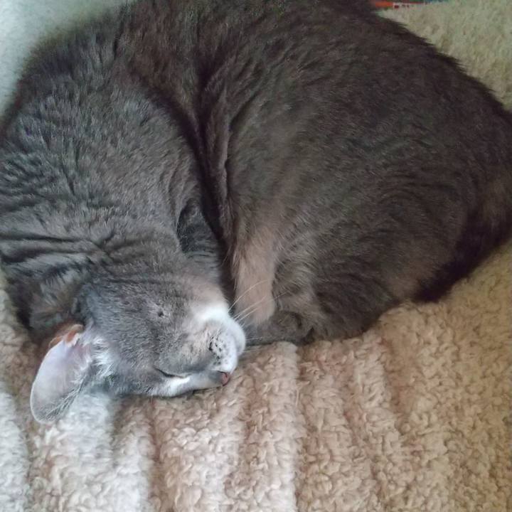 Fb7c34d8 2e53 48cc 9c79 fe6150e708ed 1646542694431