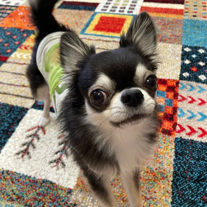 Fb7c5099 edc8 432f afe9 5232721b08e3 1685289533561