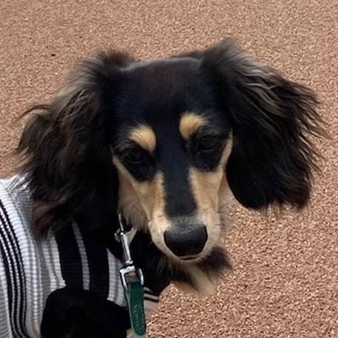 Fb7c51e1 3ccf 4077 a747 d905a50783cb 1685055787025