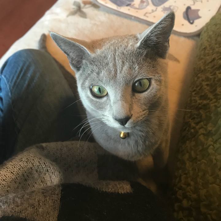 Fb7c6296 03da 4f04 abab d85f203a585d 1515838968416