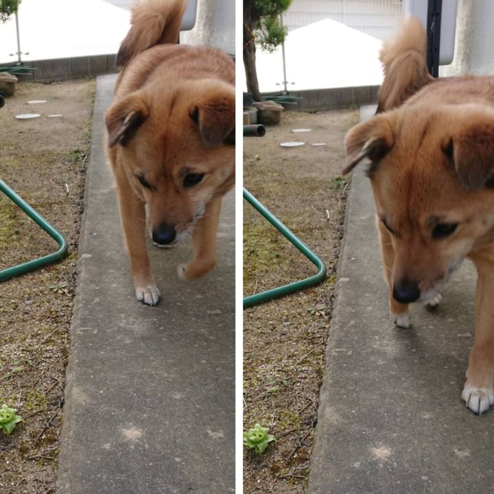 Fb7c72b5 61f2 4dc6 8758 026b6f091595 1584708122958