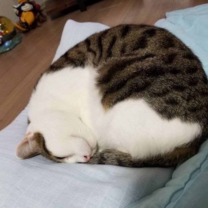 Fb7cc5b6 1108 4a97 9ba4 868d88b9630d 1610112574226