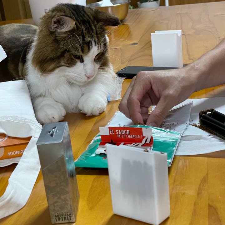 Fb7cd51b 3f5c 452d a9fc 6f40f8c6a34f 1660043573948