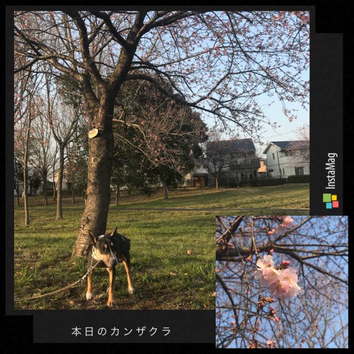 Fb7d02e9 3c62 4c41 9419 29087b956303 1520931664483