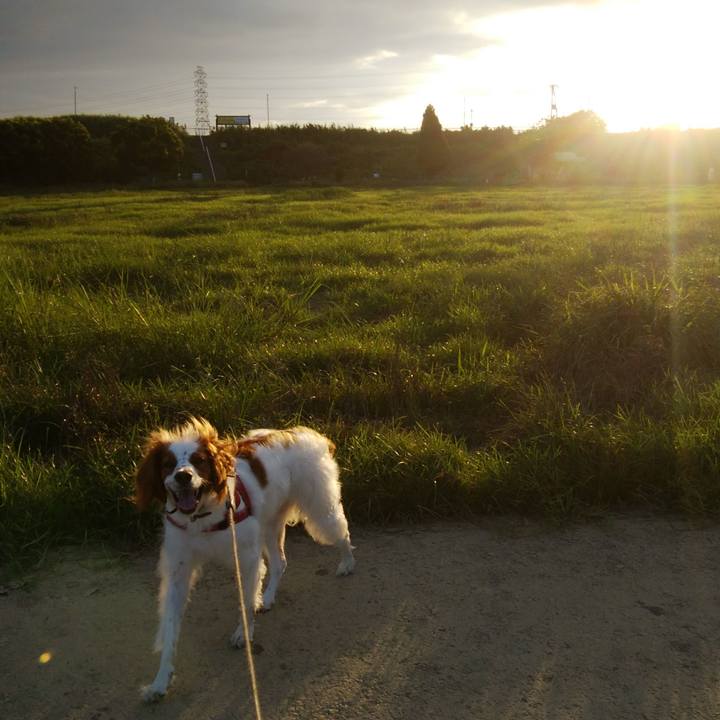 Fb7d34bc e9c7 46b2 b5e0 79c8f90fd2d5 1533730632199