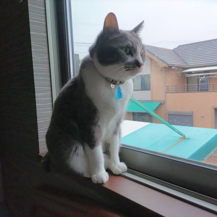 Fb7d5afd df65 447a add1 6018517d729d 1712094188194