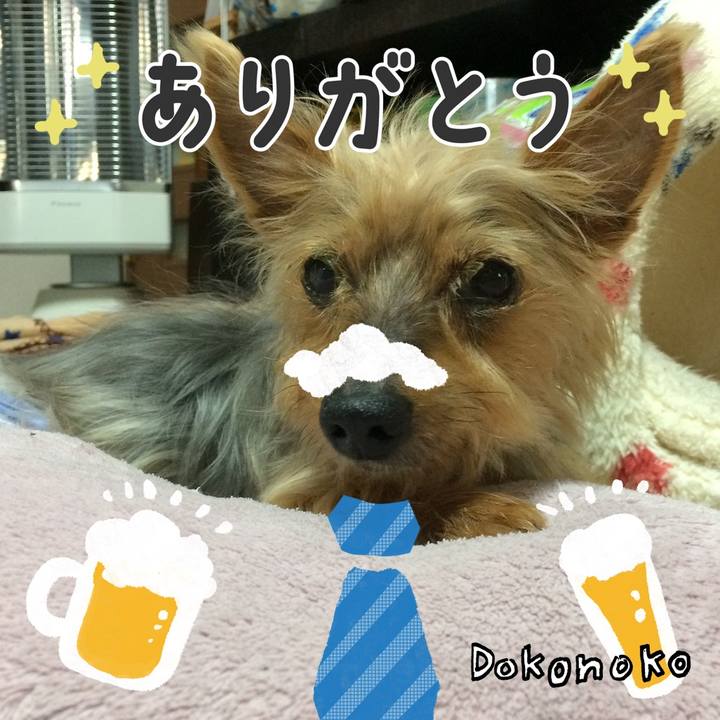 Fb7d902f 80f7 47be b510 f5ce568e9ef4 1718521493082