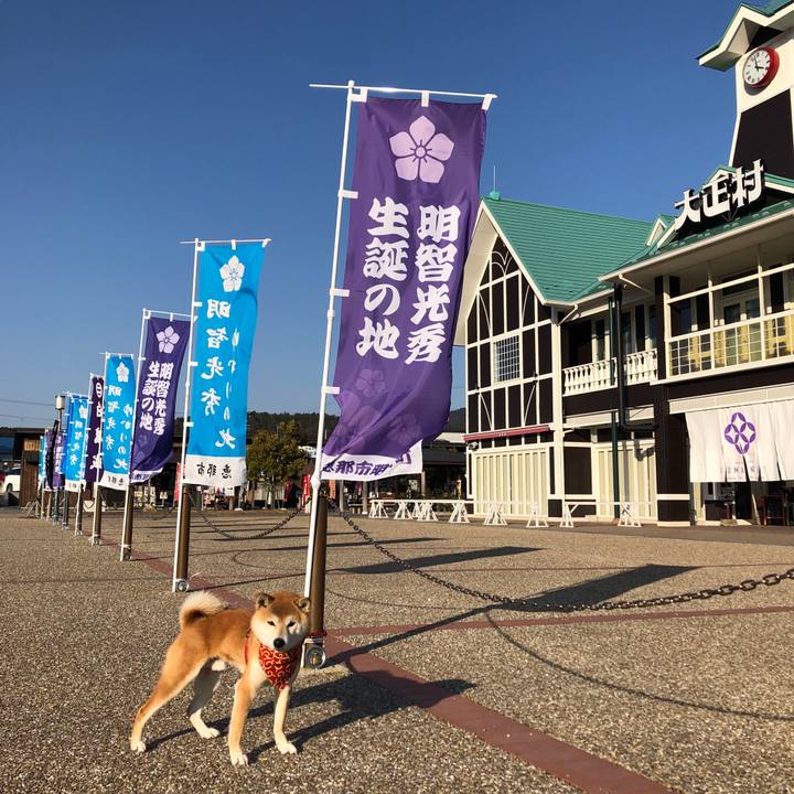 Fb7da0d1 8441 4174 b7bd 97c3555a2d11 1551169399650