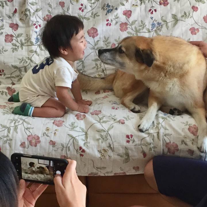 Fb7dc634 19a6 49c8 ab59 6ecef14a6f98 1565405113865