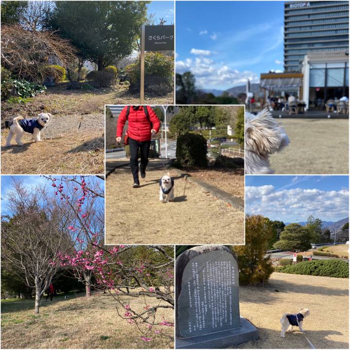 Fb7dc80f 2b67 42e8 b927 dcd9423e18a0 1580633555554