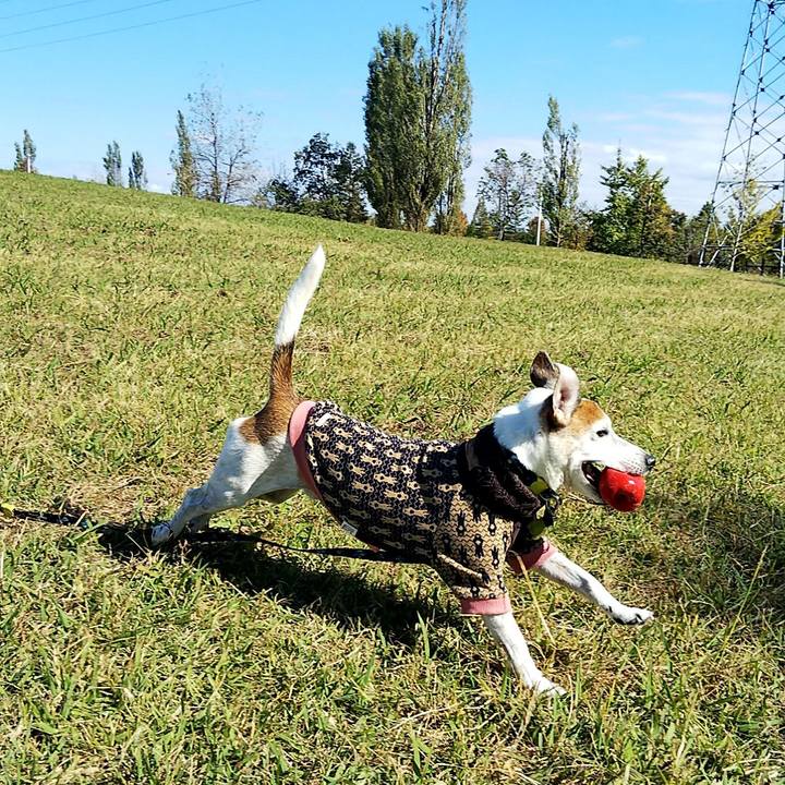 Fb7e0012 21bf 4ae1 84c1 73c91c579ce7 1541251767106