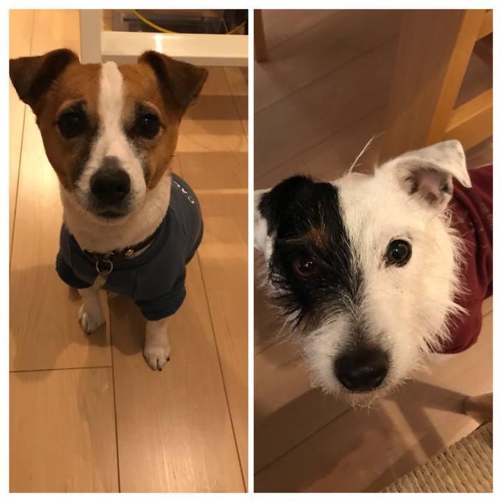 Fb7e25c9 e365 4674 b1ef 743ada3b7740 1519123040533