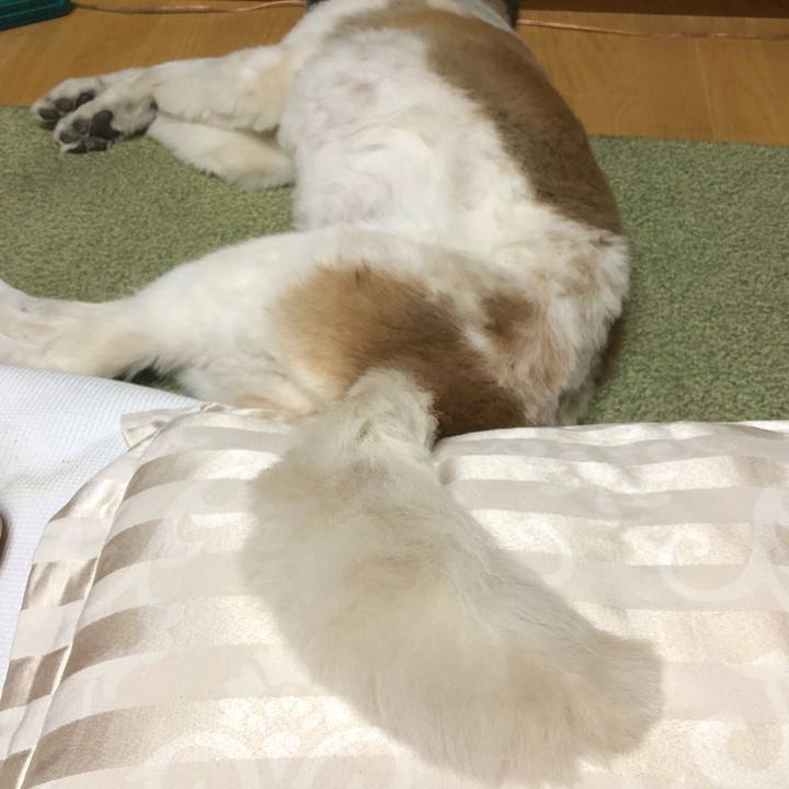 Fb7e306a 39df 4cdc a8cd fba0d4e68f50 1533592462953