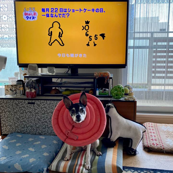 Fb7e492a a6f8 4324 8b32 4a30669aaaf7 1632262417049