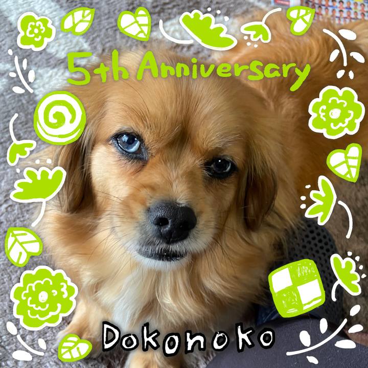 Fb7e528e f539 4589 95ad a54948e02c45 1622898331239