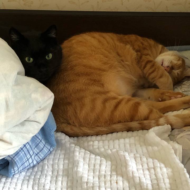 Fb7e5c01 a8cc 43b4 b545 205b36902aab 1565662724123