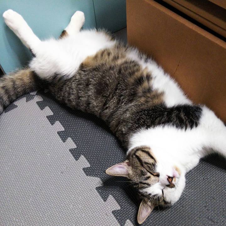 Fb7e969e 0a36 4fe2 ac4e 9c6270e7f633 1627598593626